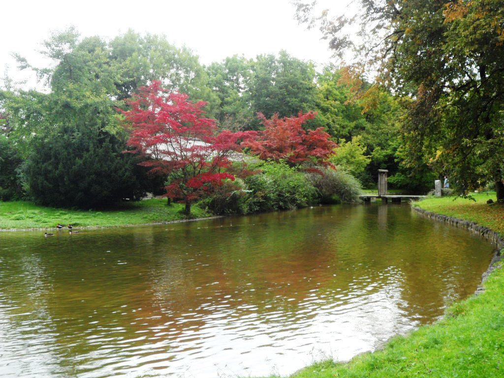 Englischer Garten Munich A Surfer S Paradise 2bearbear World