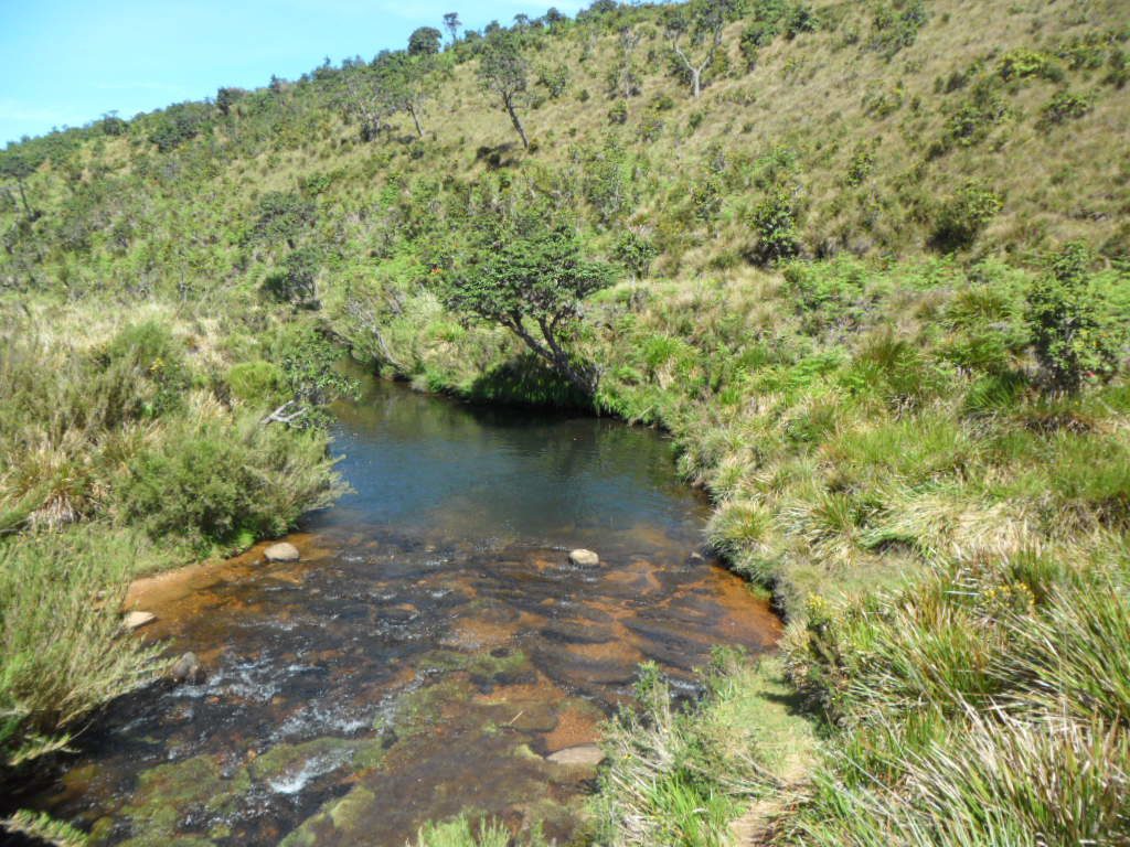 Horton Plains Nuwara Eliya Sri Lanka A Great Workout 2bearbear Sg