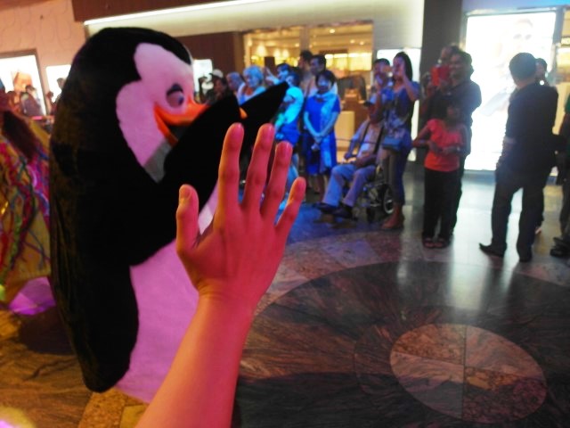 High Five with the Penguins - who actually high fived back!