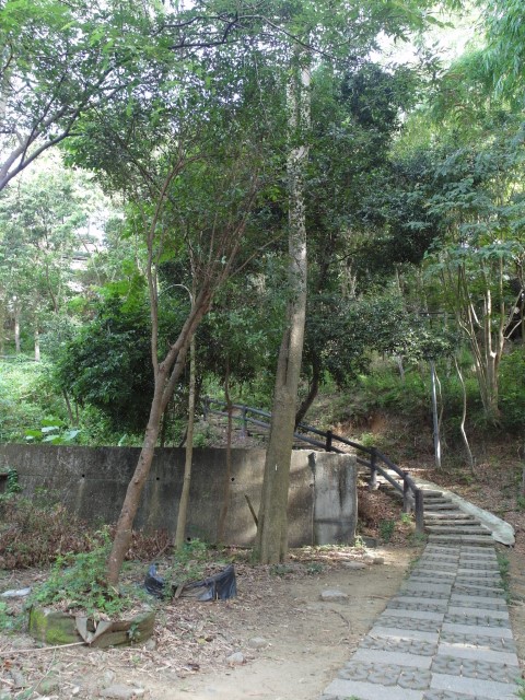 Path inside Chiayi University to Lan Tan