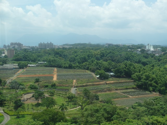 Rice paddy fields seen from Sun Shooting Tower Chiayi
