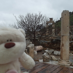 Tom and Ruins of Ephesus