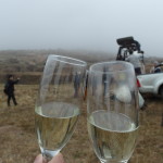 Champagne celebration after hot air balloon landing in Cappadocia