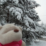 Kate enjoying the snow