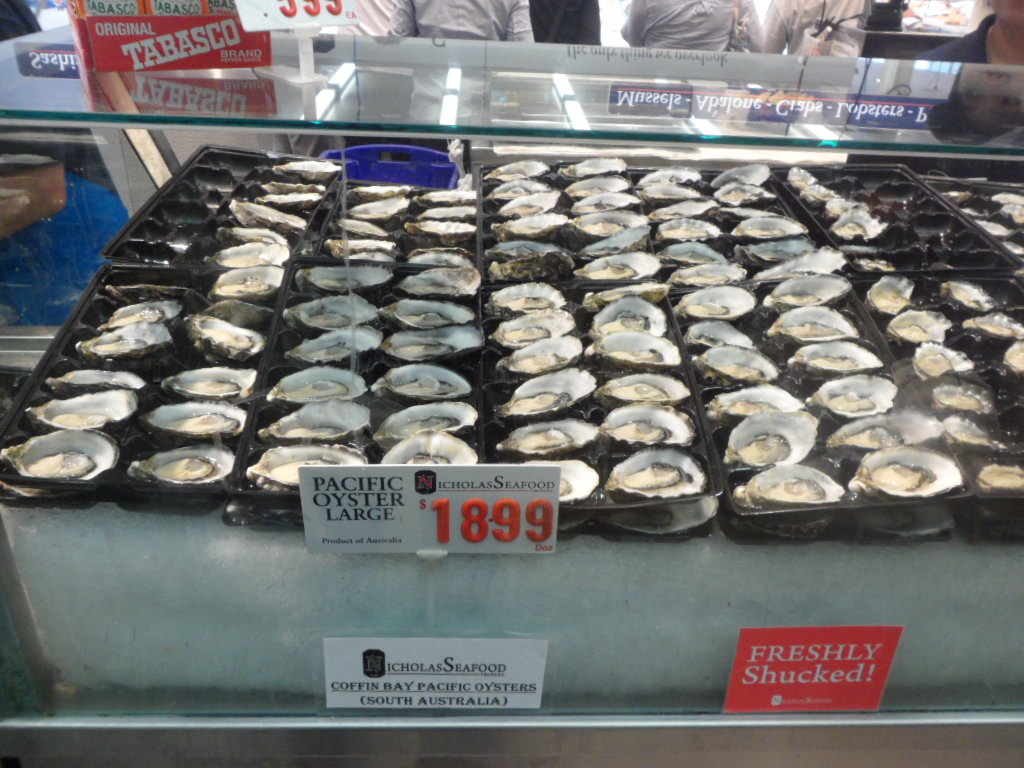 Pacific Oysters Large @ Sydney Fish Market