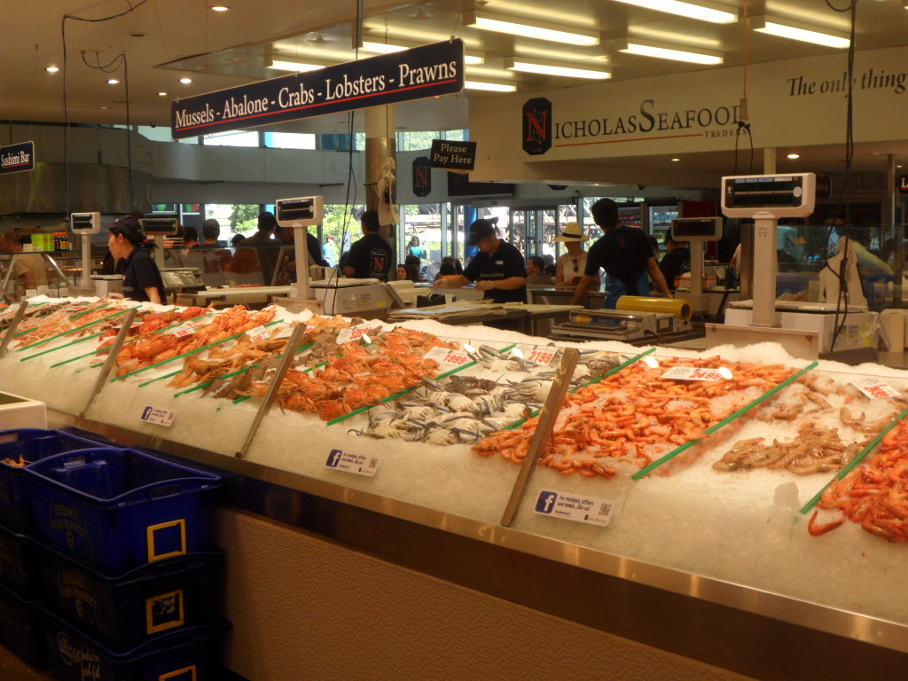 Wide variety of seafood such as mussels, abalone, crabs, lobsters and prawns @ Sydney Fish Market