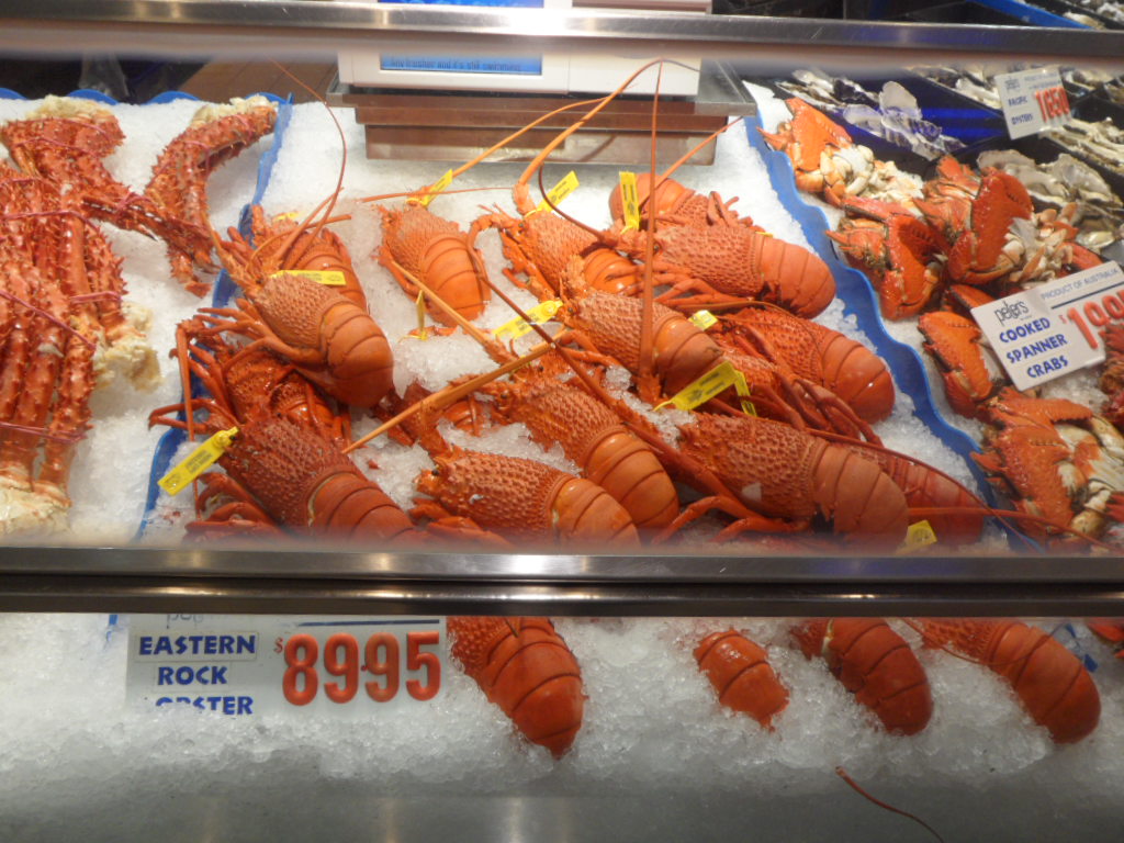 Prices of lobsters at Sydney Fish Market