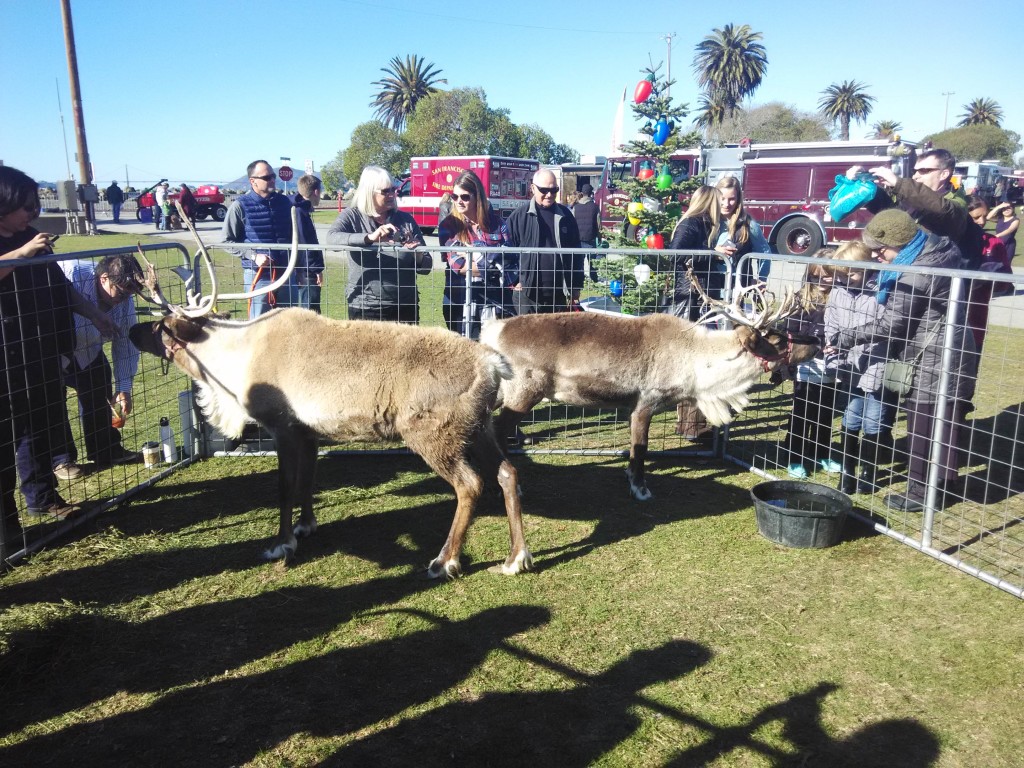 A pair of reindeers at San Francisco Treasure Island Flea Market