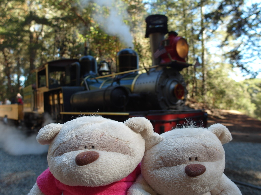 Roaring Camp Redwood Forest Steam Train