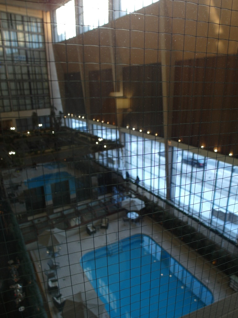 View of the swimming pool