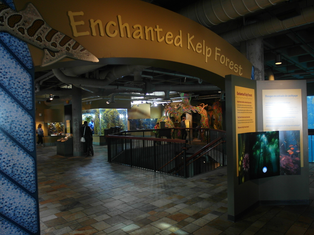 Enchanted Kelp Forest Monterey Bay Aquarium