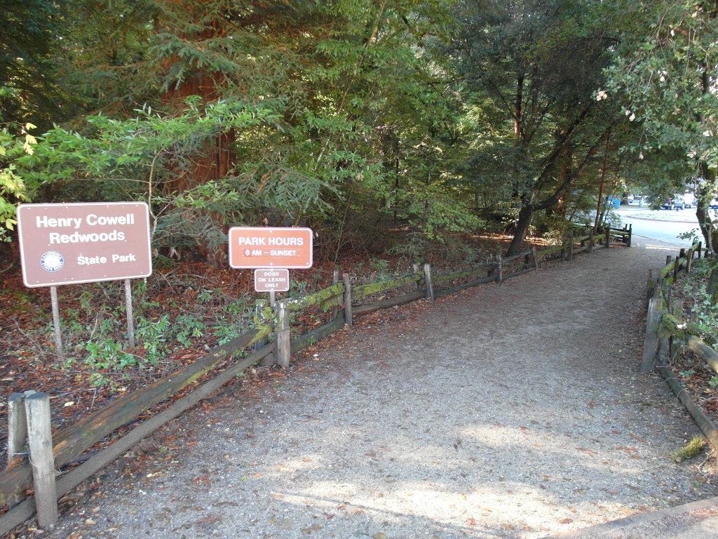 Link to Henry Cowell Redwoods State Park