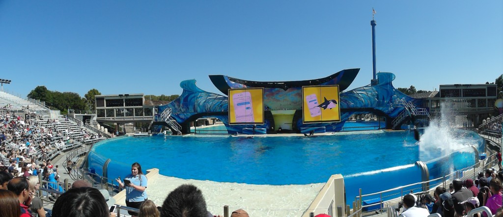 Panorama of Killer Whale show