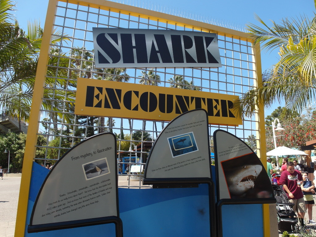 Shark Encounter SeaWorld San Diego