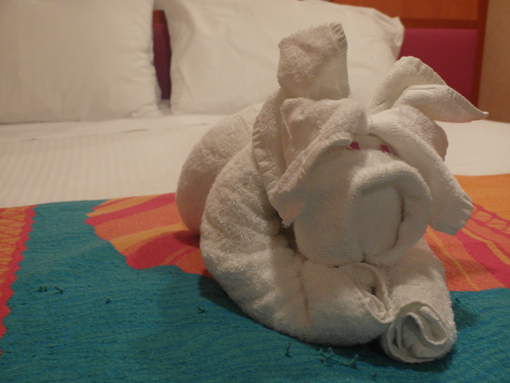 Piggy Towel Art Norwegian Jade Norwegian Cruise Line