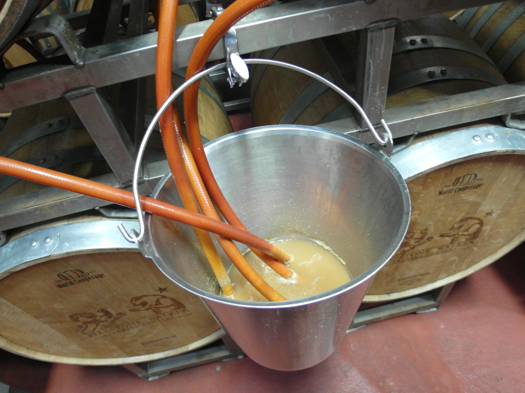Fermentation of Double Barrel Ale