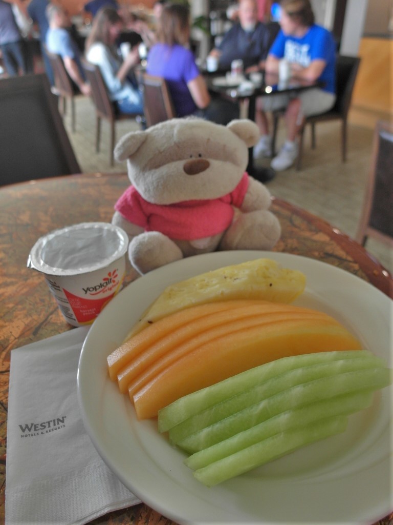 Bear acting healthy with fruits and yoghurt