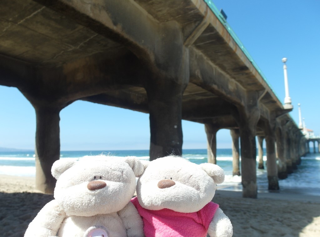 Bears under the pier @ Manhattan Beach Los Angeles