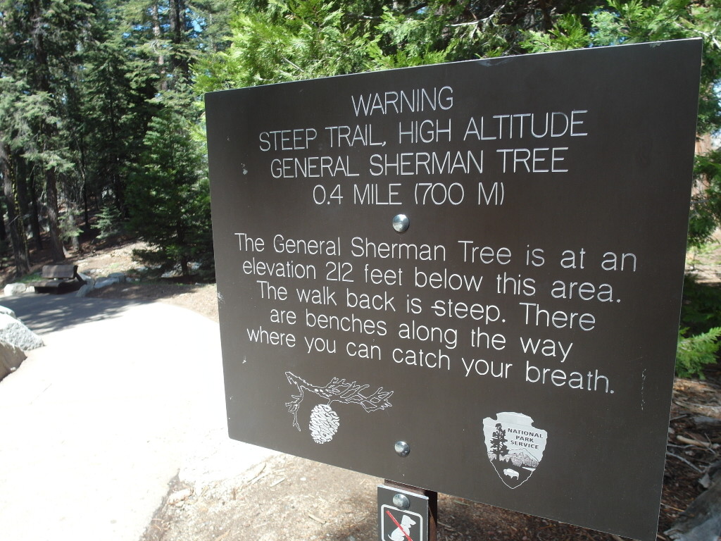 Warning @ General Sherman Tree Trail