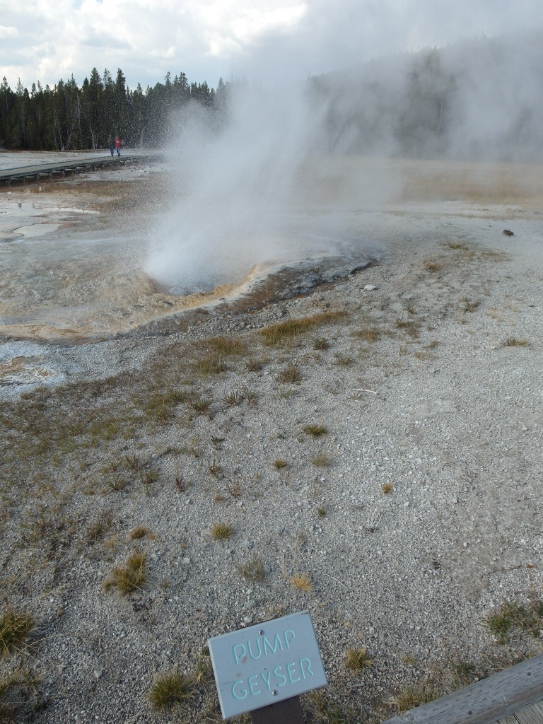 Pump Geyser Yellowstone National Park
