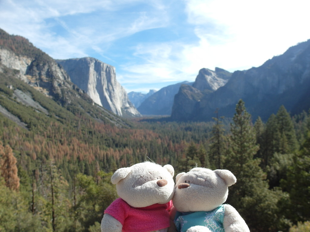 2bearbear @ Yosemite Again!