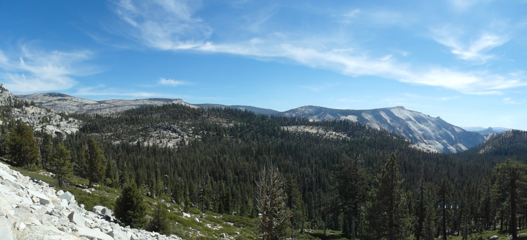 Panorama enroute in Yosemite National Park
