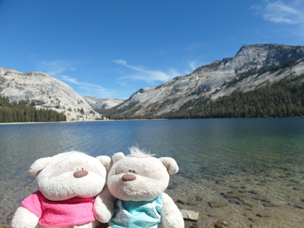 2bearbear @ Tenaya Lake Yosemite National Park 