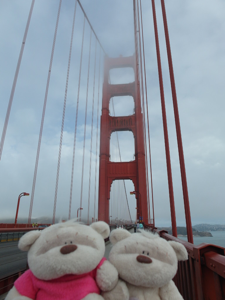 2bearbear on Golden Gate Bridge San Francisco