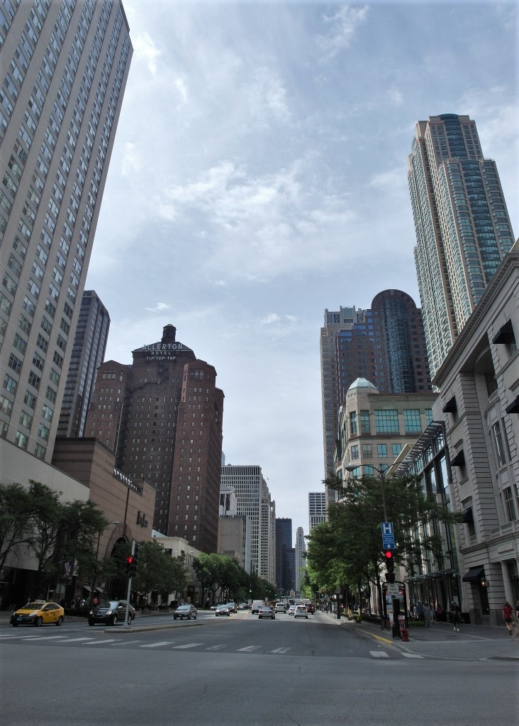 Magnificent Mile - Shopping Street of Chicago