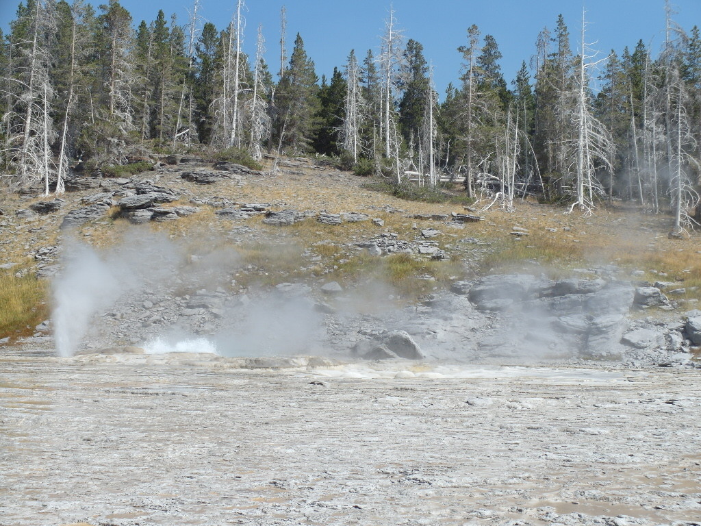 Grand Geyser Yellowstone National Park