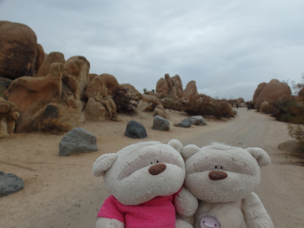 2bearbear @ Arch Rock Nature Trail
