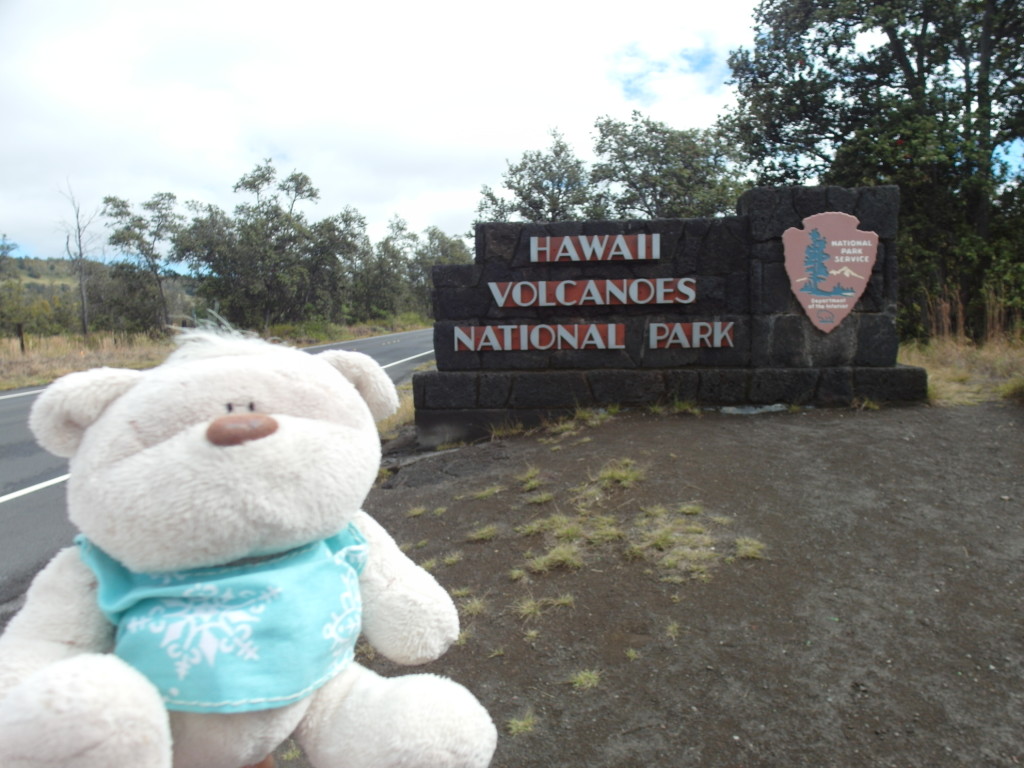 2bearbear @ Hawaii Volcanoes National Park