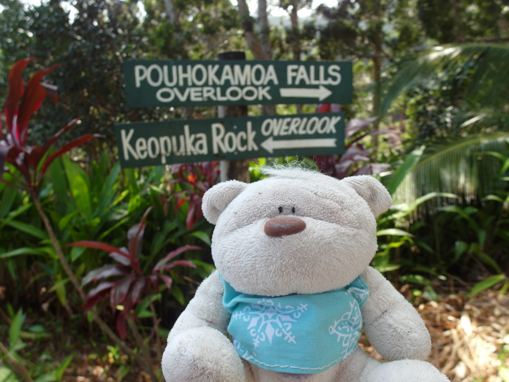 Waterfall Overlook at Keopuka Falls Overlook @ Garden of Eden Maui