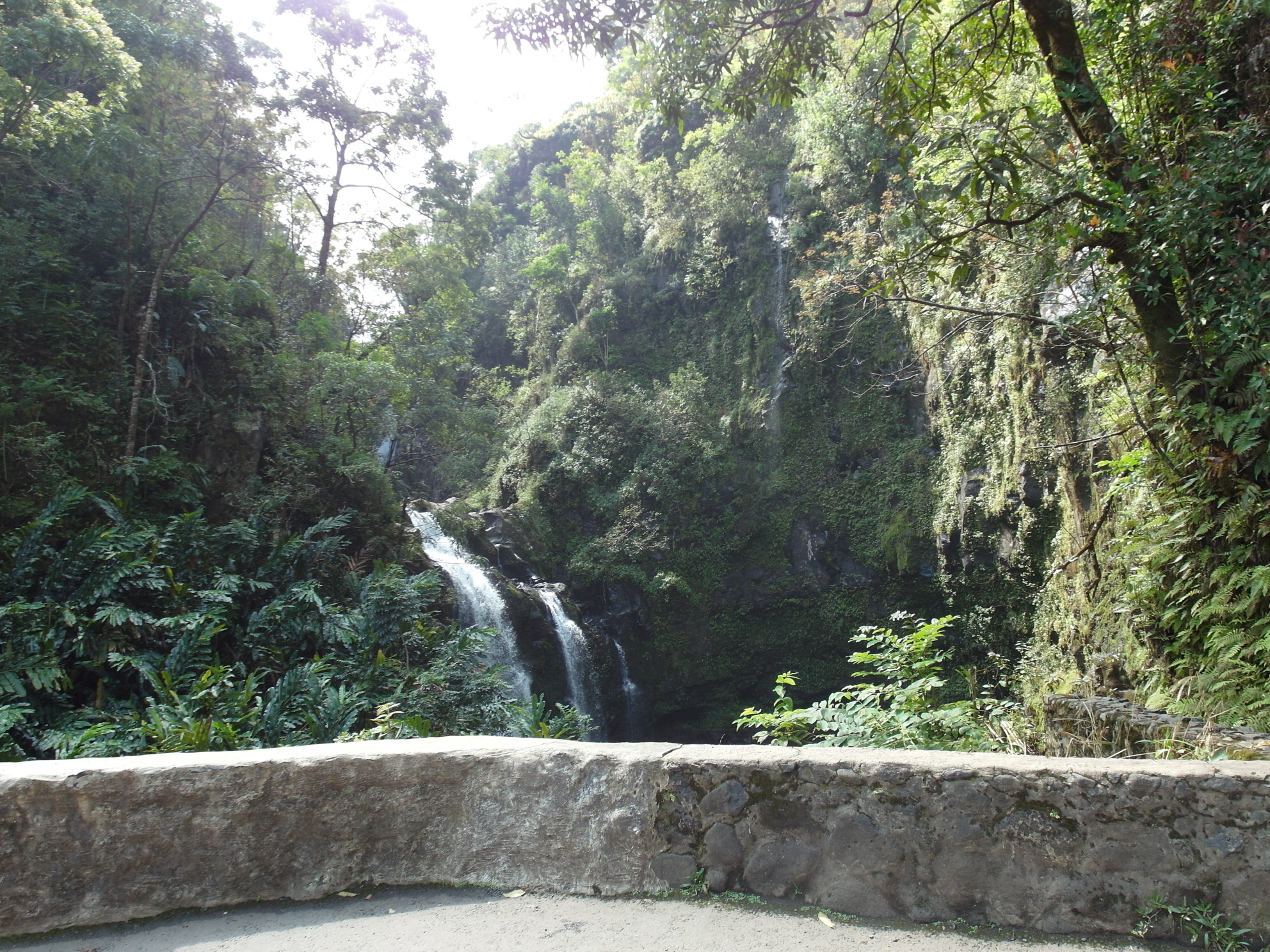 Waterfall Road to Hana