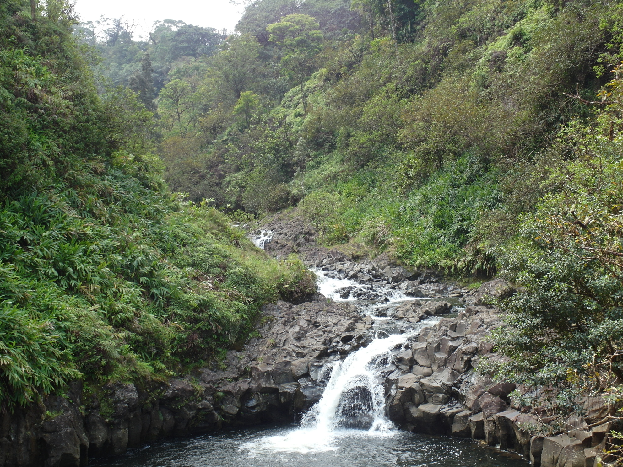 Waterfall 2 Road to Hana