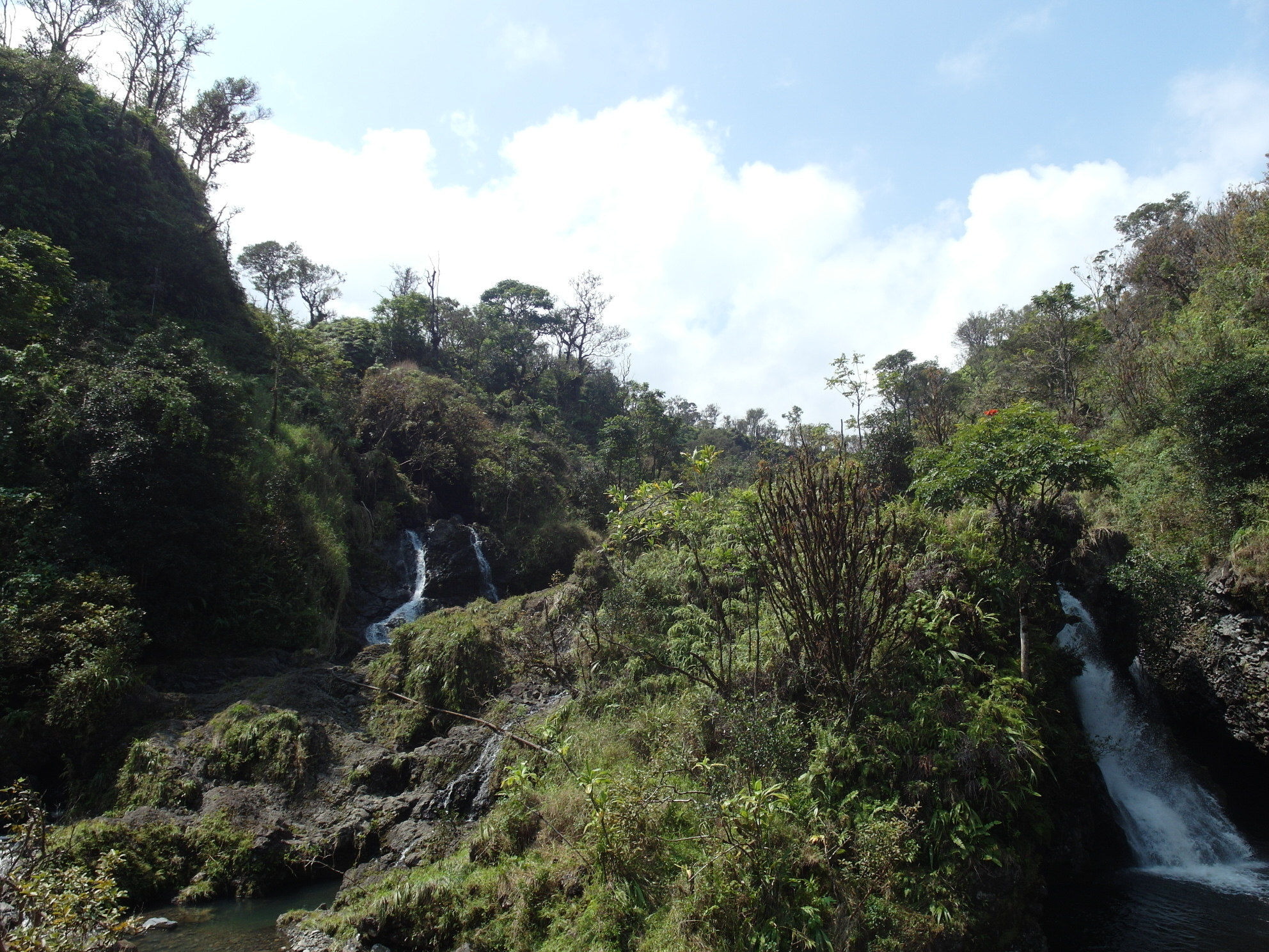 Waterfall 3 Road to Hana