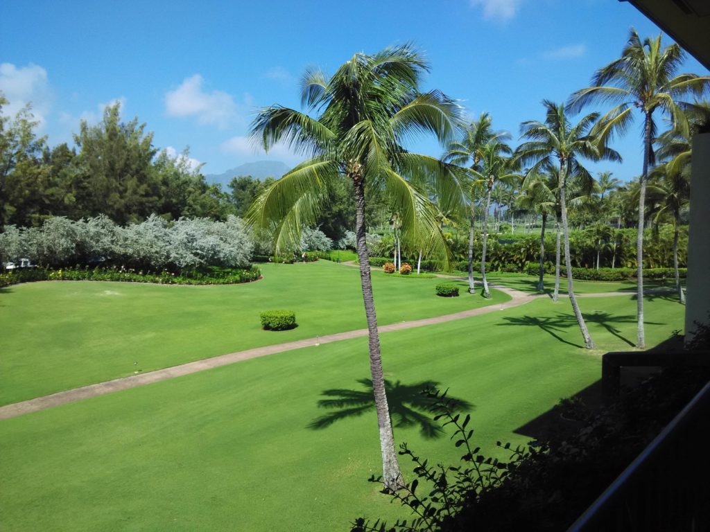 Garden View Grand Hyatt Kauai Resort