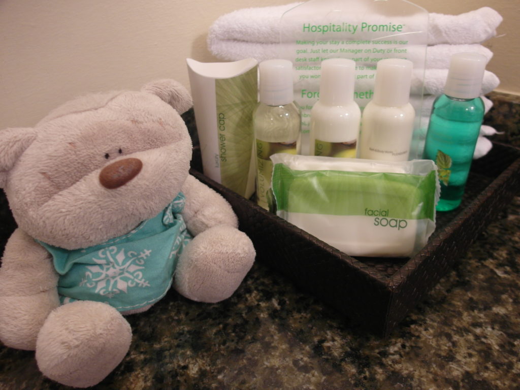 Amenities within the Room