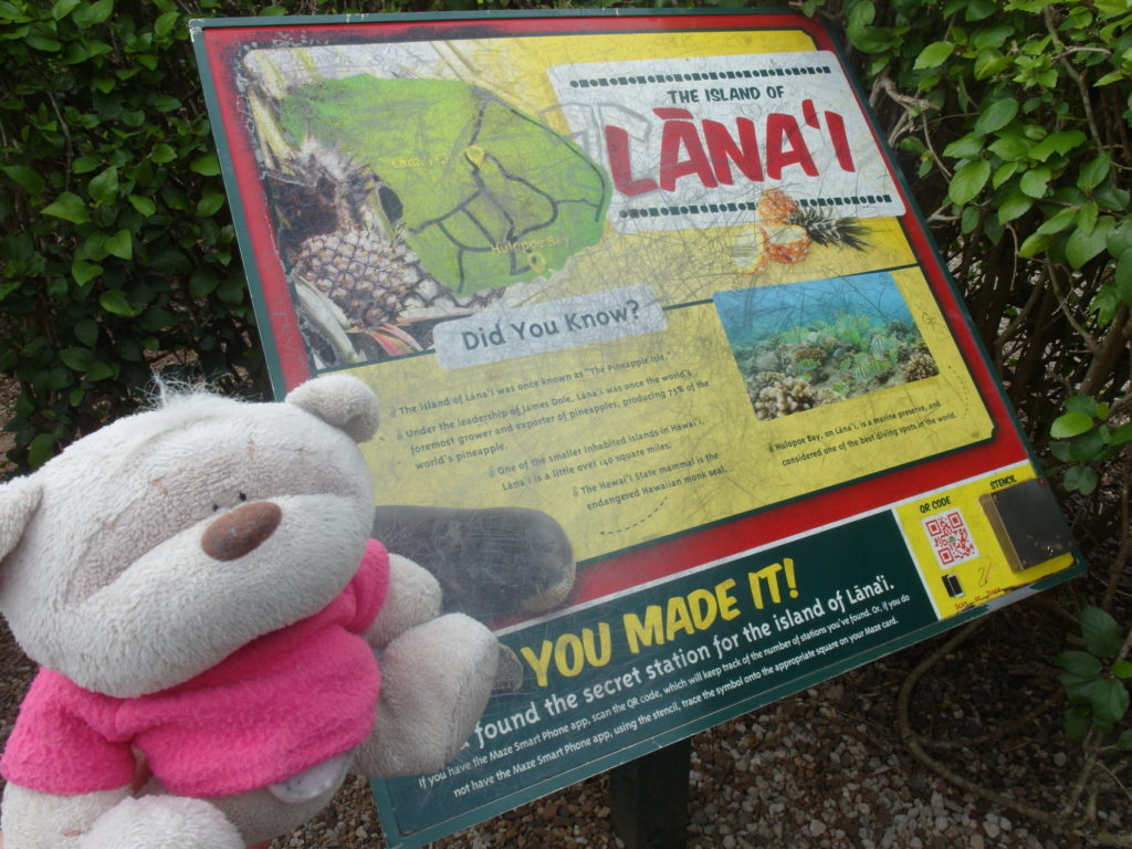 Lanai Check Point of Pineapple Garden Maze Dole Plantation Hawaii