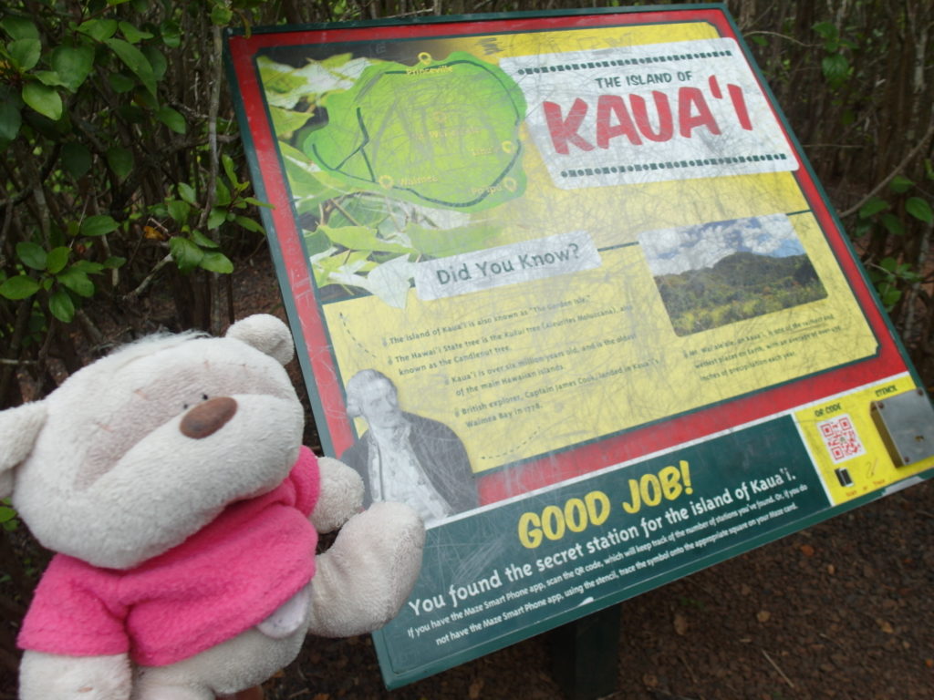 Kauai Check Point of Pineapple Garden Maze Dole Plantation Hawaii