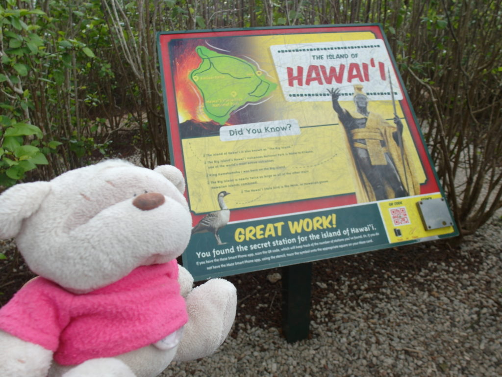 Hawaii (Big Island) Check Point of Pineapple Garden Maze Dole Plantation Hawaii