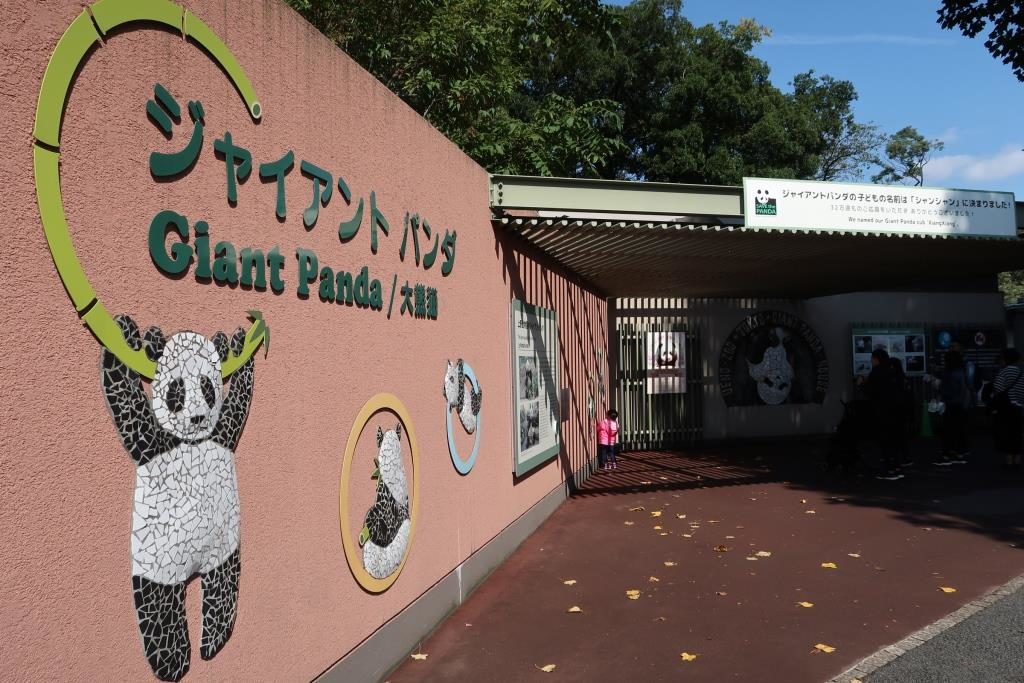 Giant Panda 大熊猫 Ueno Zoo Tokyo