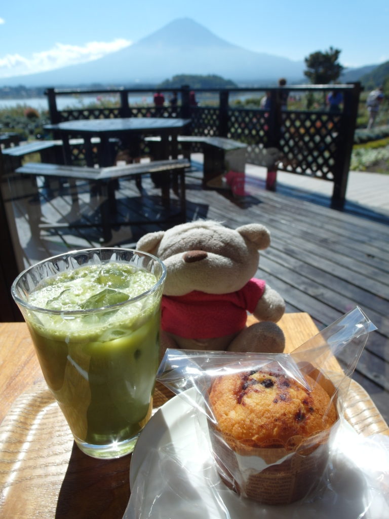 SAM 7904 e1510460276290 768x1024 12 Days of Japan Travels: Lake Kawaguchiko Natural Living Center & Sightseeing Bus Tour Day 4!