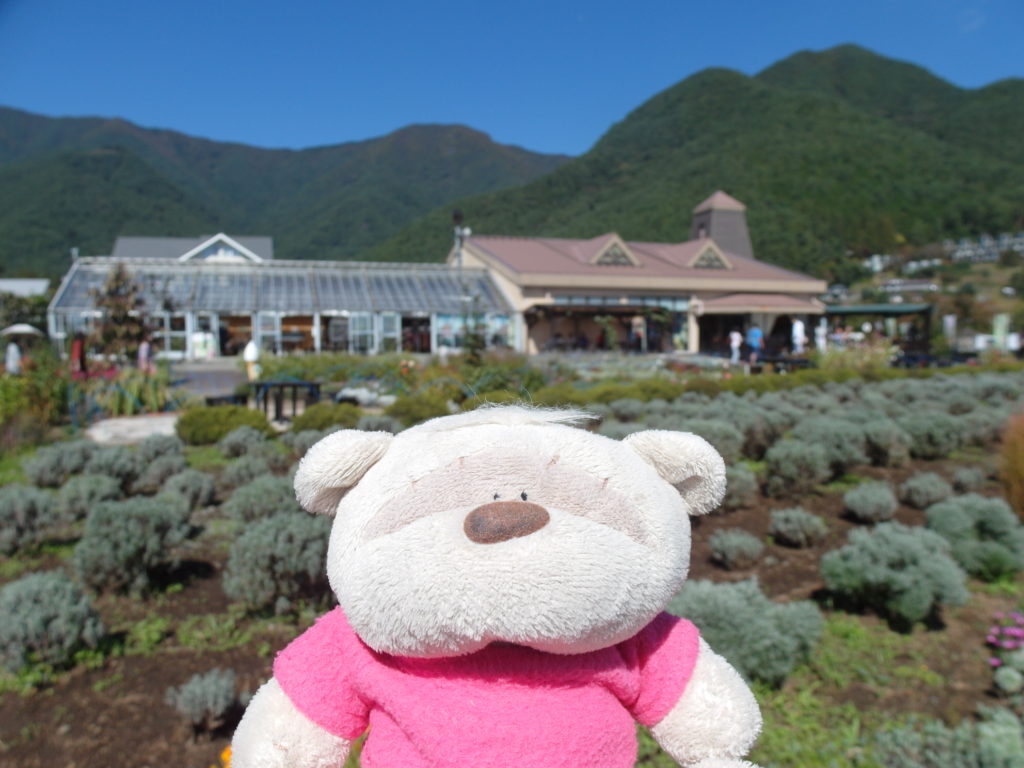 SAM 7906 1024x768 Top 9 Things to do in Mount Fuji and Kawaguchiko Area!