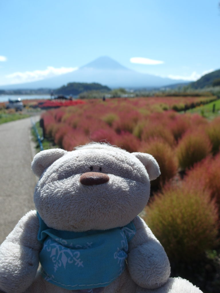 SAM 7912 e1510460298374 768x1024 12 Days of Japan Travels: Lake Kawaguchiko Natural Living Center & Sightseeing Bus Tour Day 4!