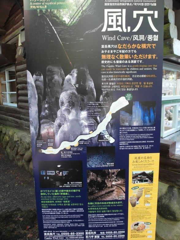Untitled194 e1510575517821 12 Days of Japan Travels: Lake Saiko Wind Cave, Ide Brewery Mount Fuji and Bus Ride to Takayama Day 5