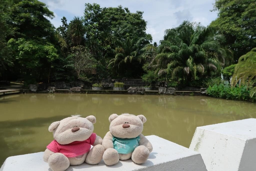 Pond @ Toa Payoh Town Park: Home to the butterflies, dragonflies and damselflies