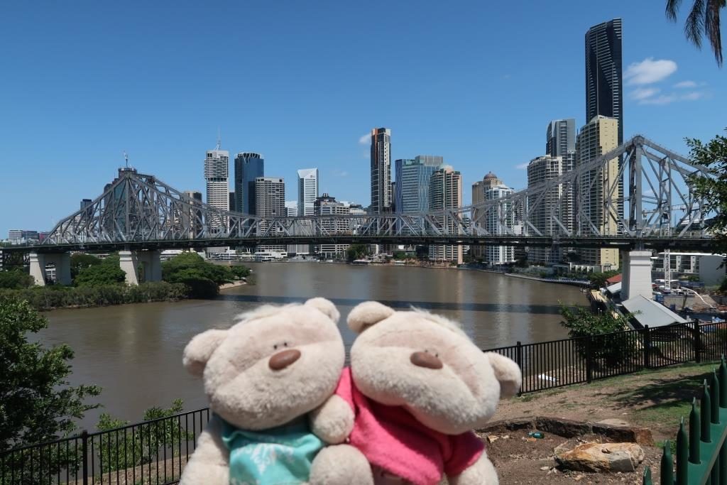 2bearbear staying connected in Brisbane via Roaming Man's portable wifi device