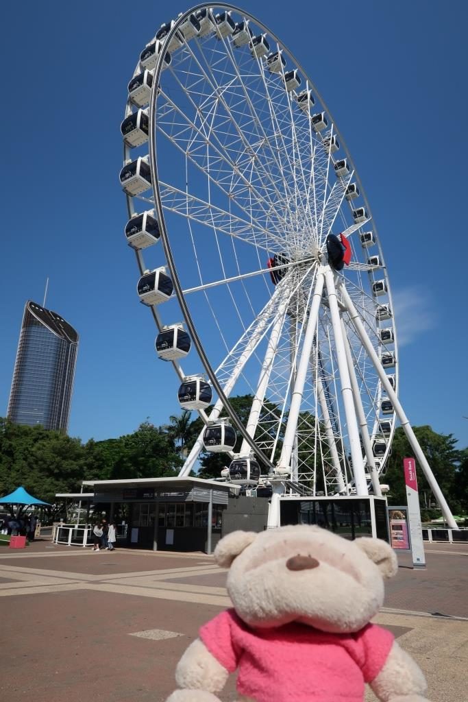 The Wheel of Brisbane 2bearbear