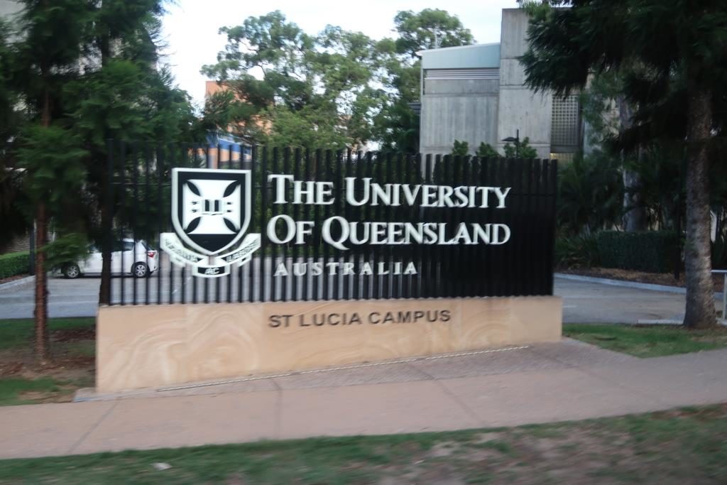 2bearbear @ University of Queensland (St. Lucia Campus - Brisbane)